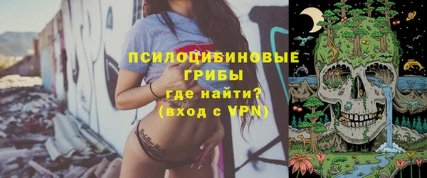 а пвп мука Великий Новгород