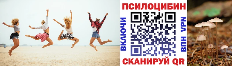 Купить где  Верхний Уфалей  Галлюциногенные грибы Magic Shrooms 